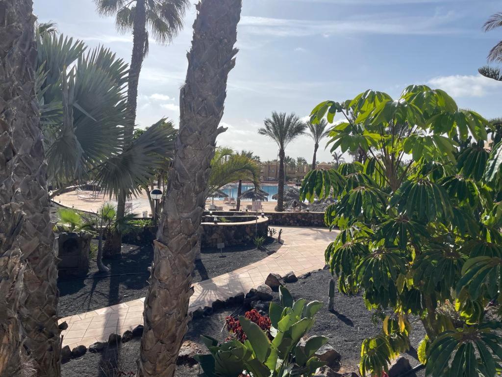 Апартаменты Casa Mari Y Jose Con Grandes Piscinas Y Wifi Gratis Коральео Экстерьер фото